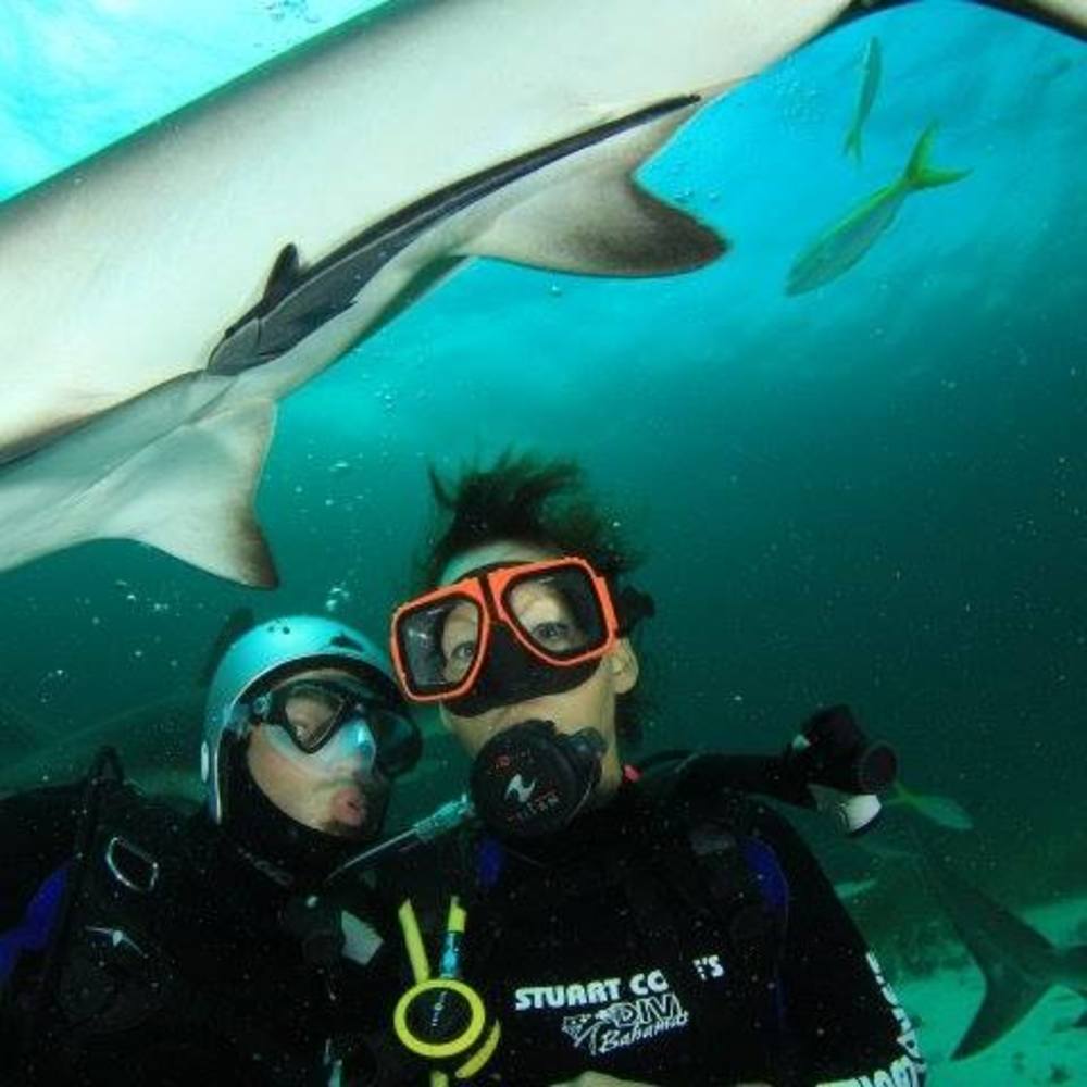 Meet your Posher, Diane